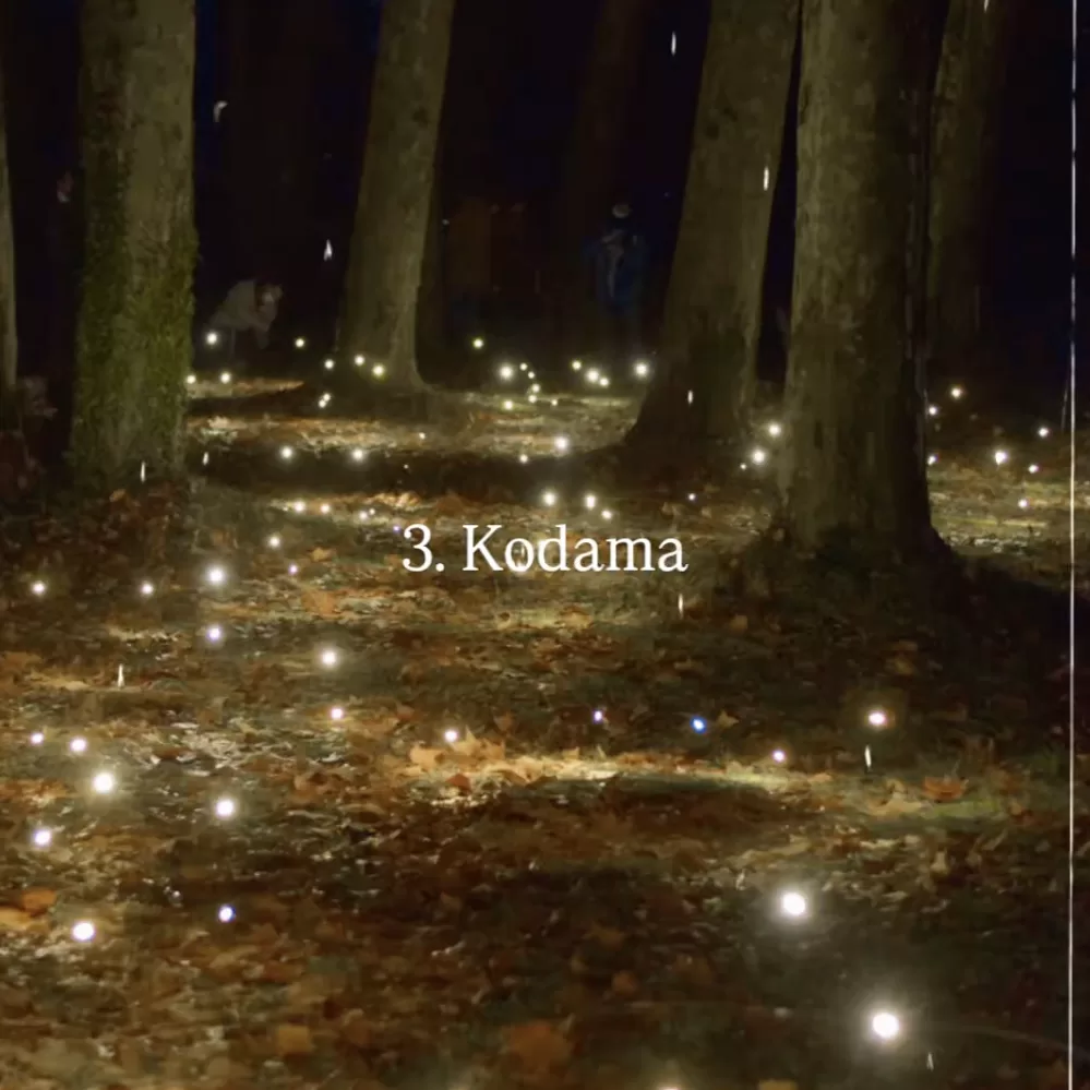 A forest floor at night with fireflies. The words 3. Kodama and Photo by Renaud Confavreaux on it