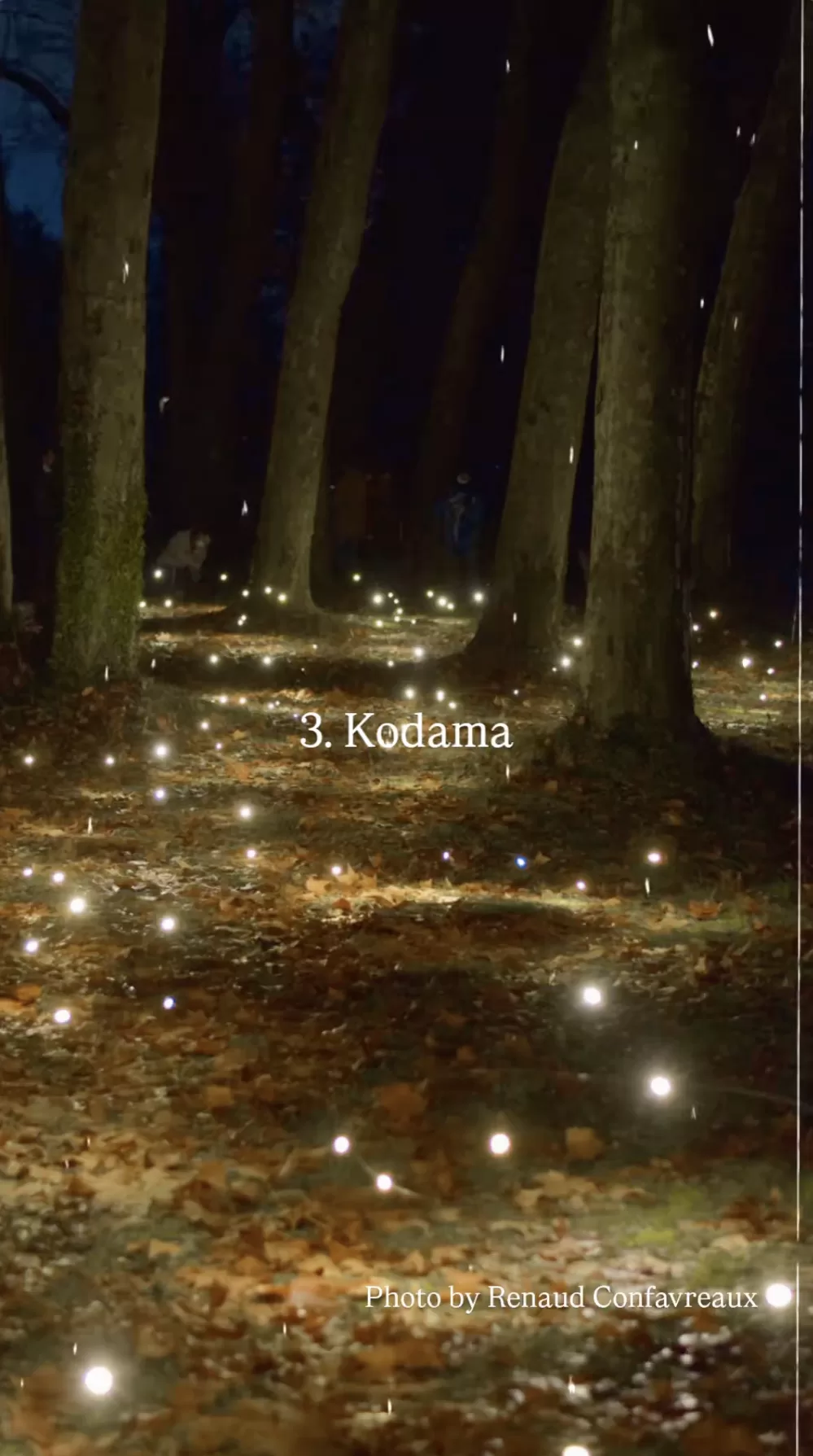 Kodama