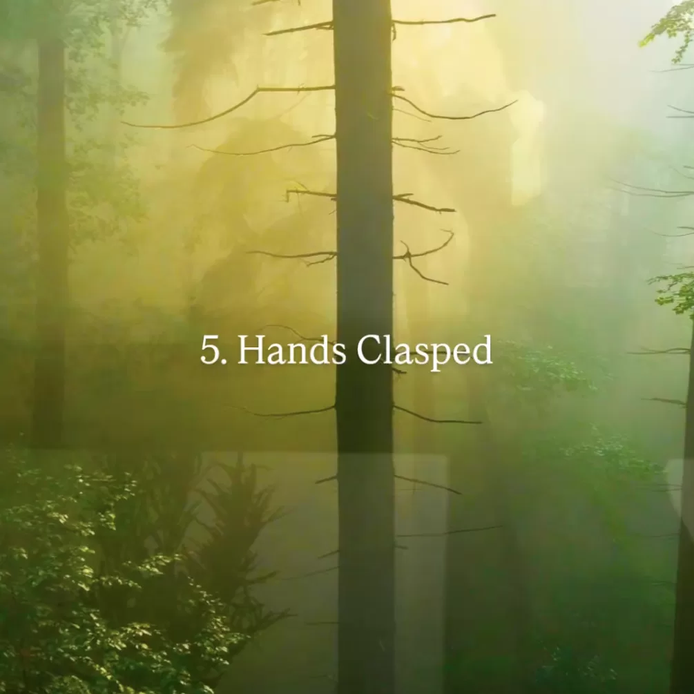 A forest scene with bloomy lighting and a sillhouette of a woman praying. The words 5. Hands Clasped and Photos by Matheus Frade and Eric Jacob on it