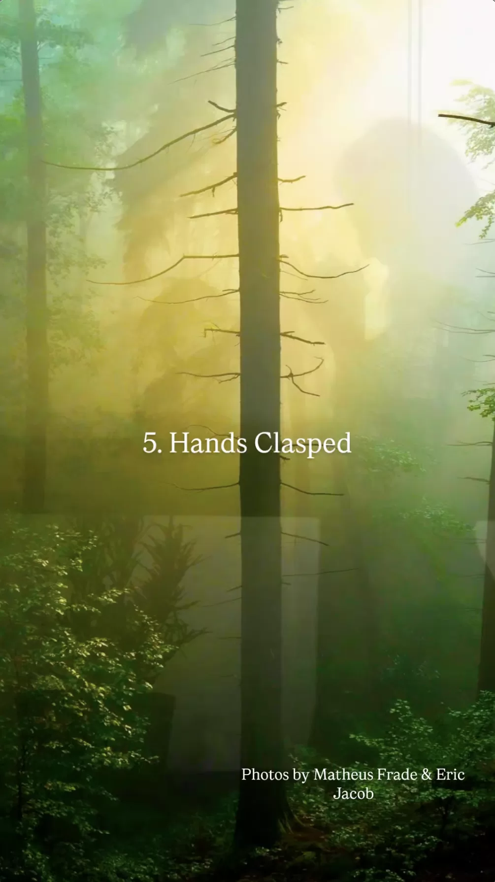 Hands Clasped