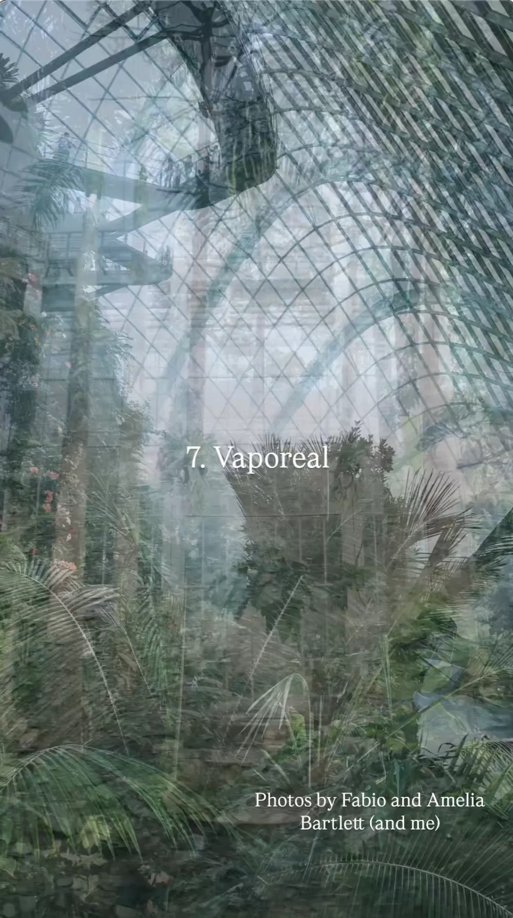 Vaporeal